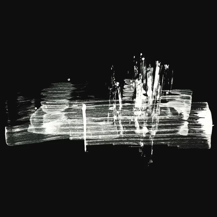 Patricia  Siqueira Arte