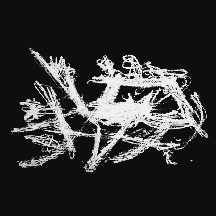 Patricia  Siqueira Arte